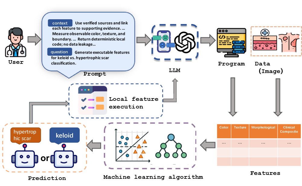 ScaFE: Data-Efficient Scar Classification with LLM-Generated Clinical Feature Programs Figure 1