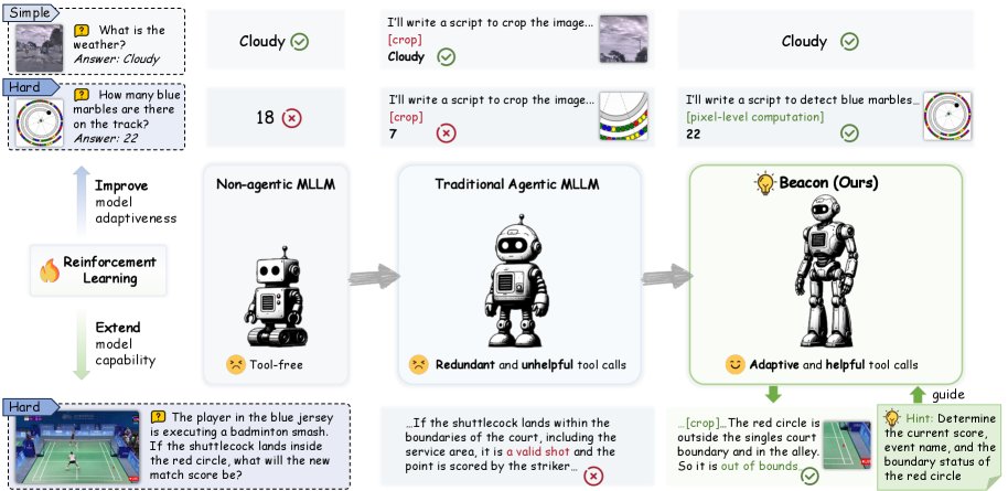 Beacon: Knowing When and How to Perform Agentic Visual Reasoning Figure 1