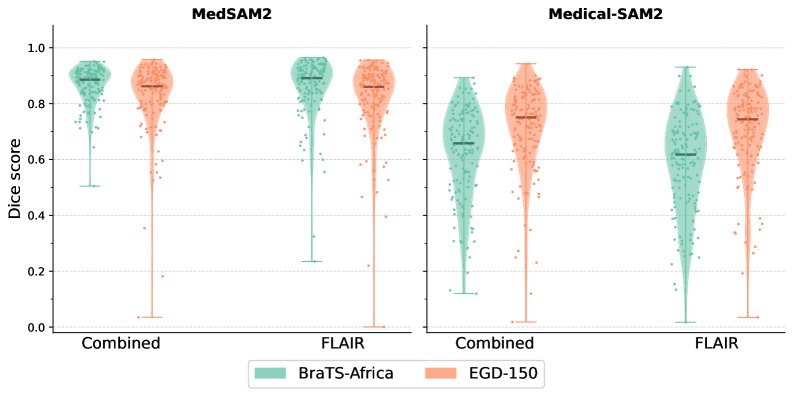 Do Medical Foundation Models Generalize on the African Brain? Figure 1
