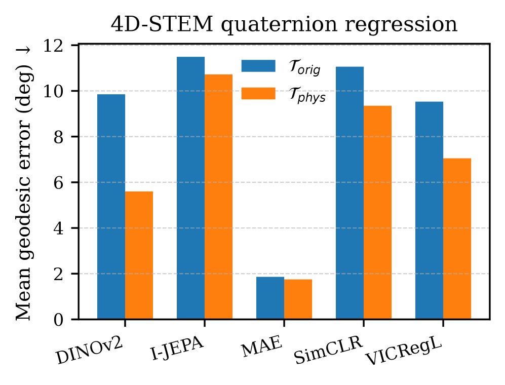 Physics-Aligned Self-Supervised Learning for Scientific Imaging Figure 1
