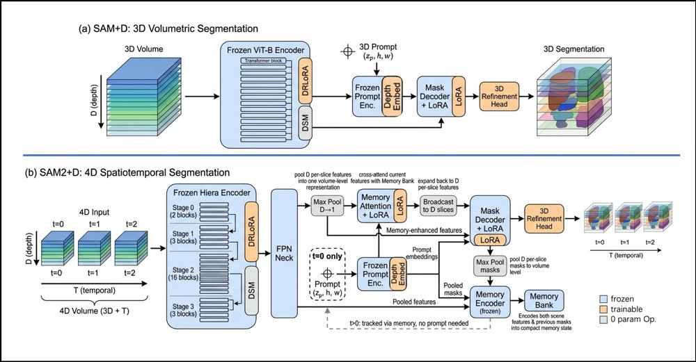 SAM+D: Parameter-Efficient Dimensional Lifting of SAM-Family Models via Depth-Routed LoRA and Depth Shifting Figure 1