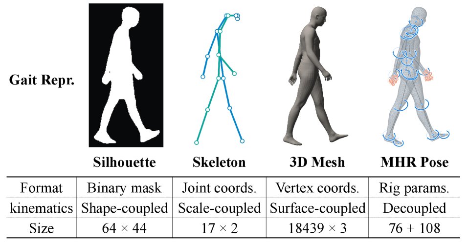 MHRGait: Gait Recognition from Momentum Human Rig Pose Figure 1
