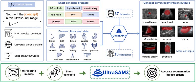 UltraSAM3: A Concept-Driven Foundation Model for Universal Ultrasound Image Segmentation Figure 1