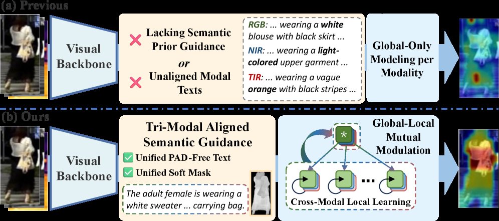 Multi-Modal Object Re-Identification with Dual Semantic Guidance and Global-Local Mutual Modulation Figure 1