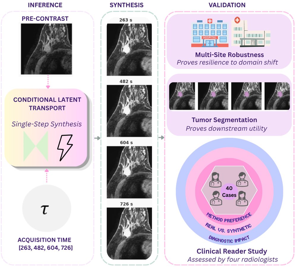 Dense Temporal Contrast Synthesis via Conditioned Latent Transport Figure 1
