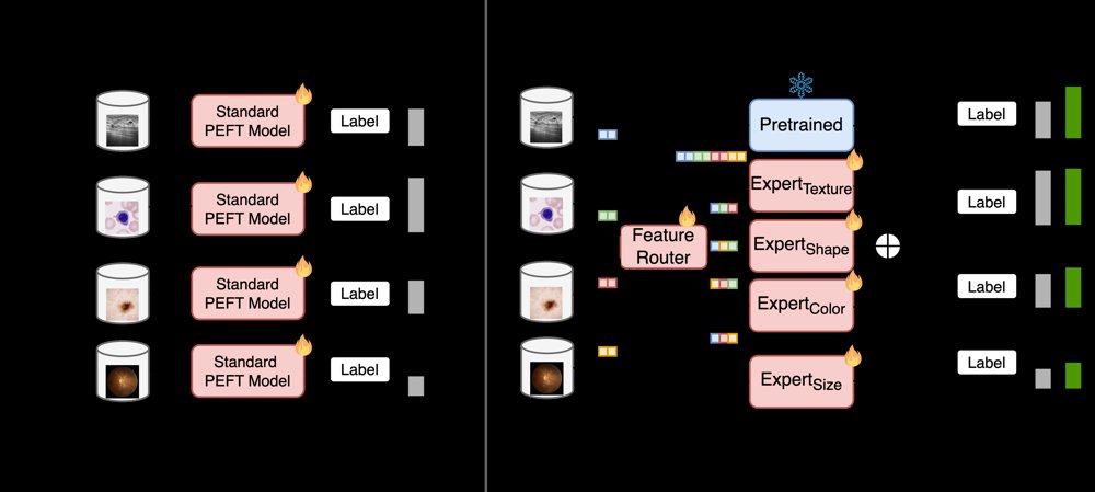 MoPET: Parameter-Efficient Mixture-of-Experts for Unified Medical Image Classification Figure 1
