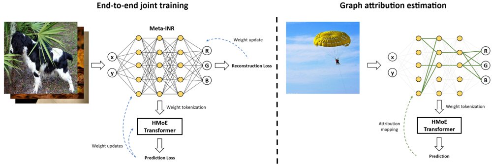 Weight-Space Mixture-of-Experts for Implicit Neural Representation Classification Figure 1