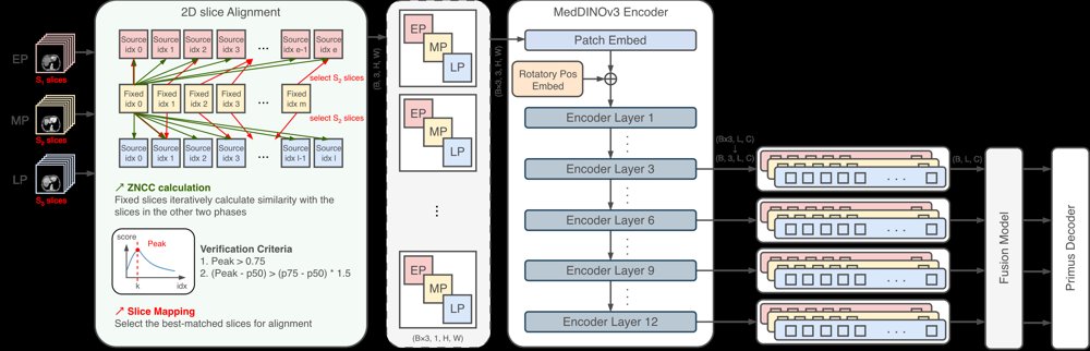 DynoDINO: Harnessing Dynamic Latent Information from DINO Features for Multi-Phase Medical Image Segmentation Figure 1