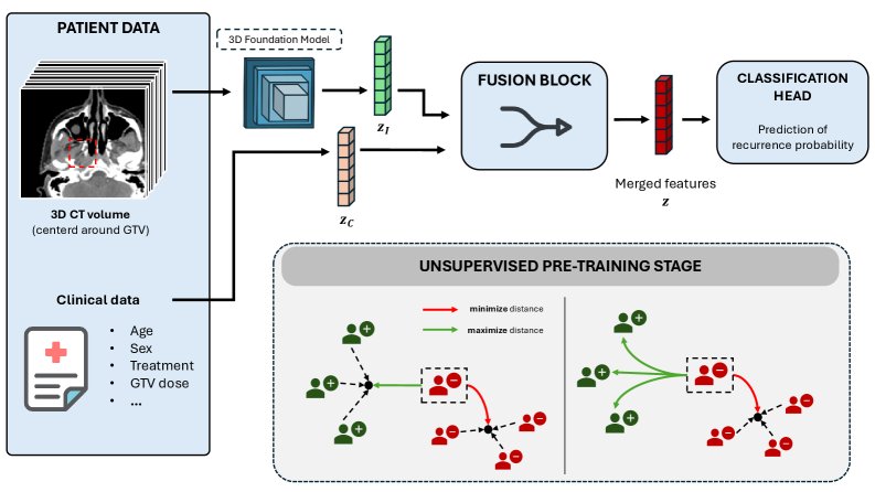 Empirical investigation of 3D CT Foundation Models and Unsupervised Adaptation for Head and Neck Cancer Recurrence Prediction Figure 1
