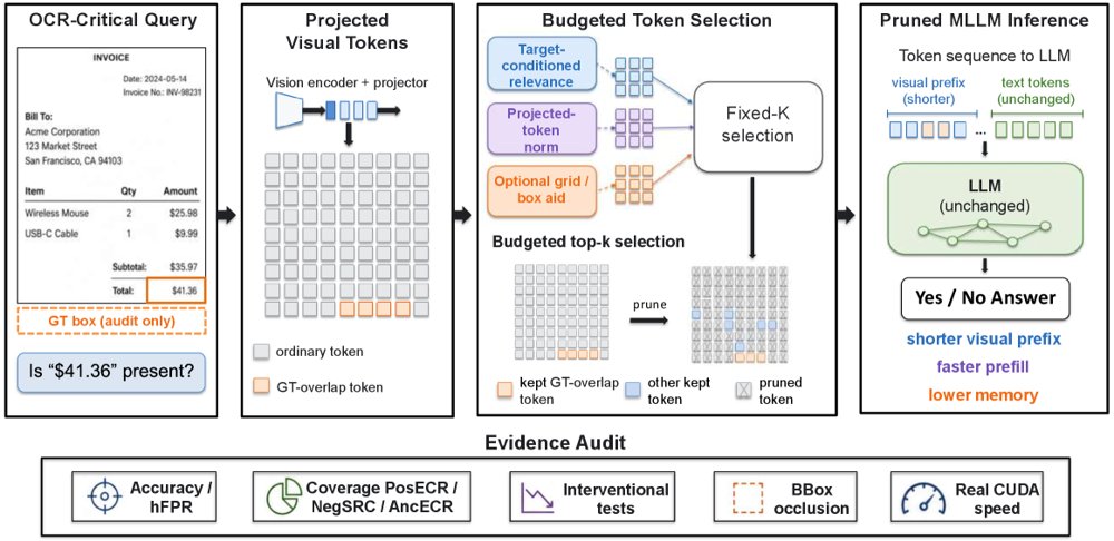 Beyond Accuracy: Auditing Spatial Provenance in Visual Token Pruning for OCR-Critical MLLM Inference Figure 1