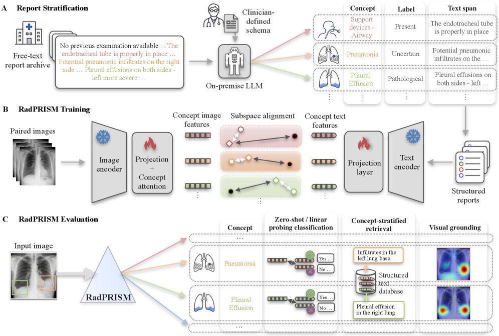 RadPRISM: Schema-stratified radiology-report supervision for concept-disentangled image representations and visual grounding Figure 1