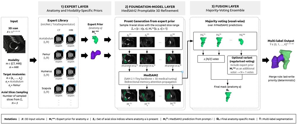 MedSAM2-Anatomy: Training-Free Inference-Time Optimization for Musculoskeletal Segmentation Figure 1