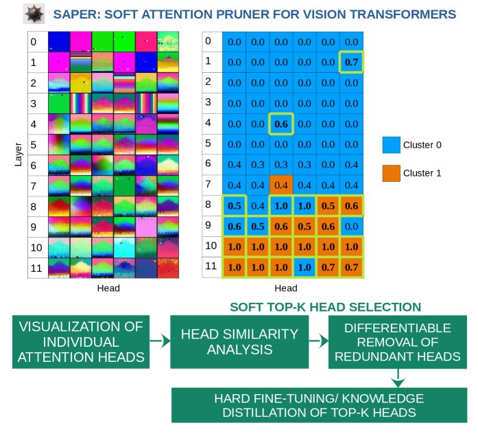 Interpretability-Guided Soft Pruning of Attention Heads in Vision Transformers Figure 1