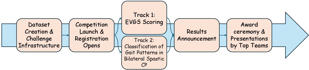 The 1st AI Children Challenge Figure 1