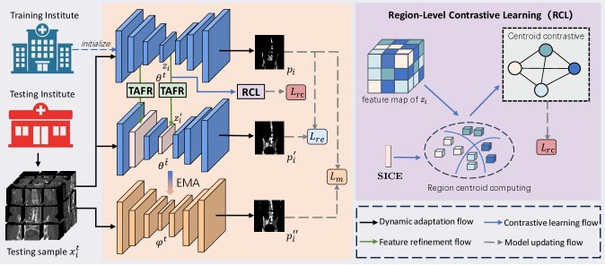 Test-time Adaptation of Pelvic Bone Segmentation Models via Dynamic Reliability-Guided Figure 1