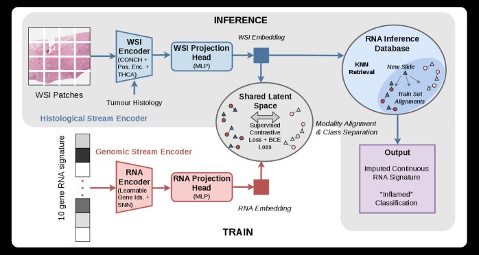 Zero-Cost Virtual RNA: Approximating Immunotherapy Signatures via Cross-Modal WSI Retrieval Figure 1