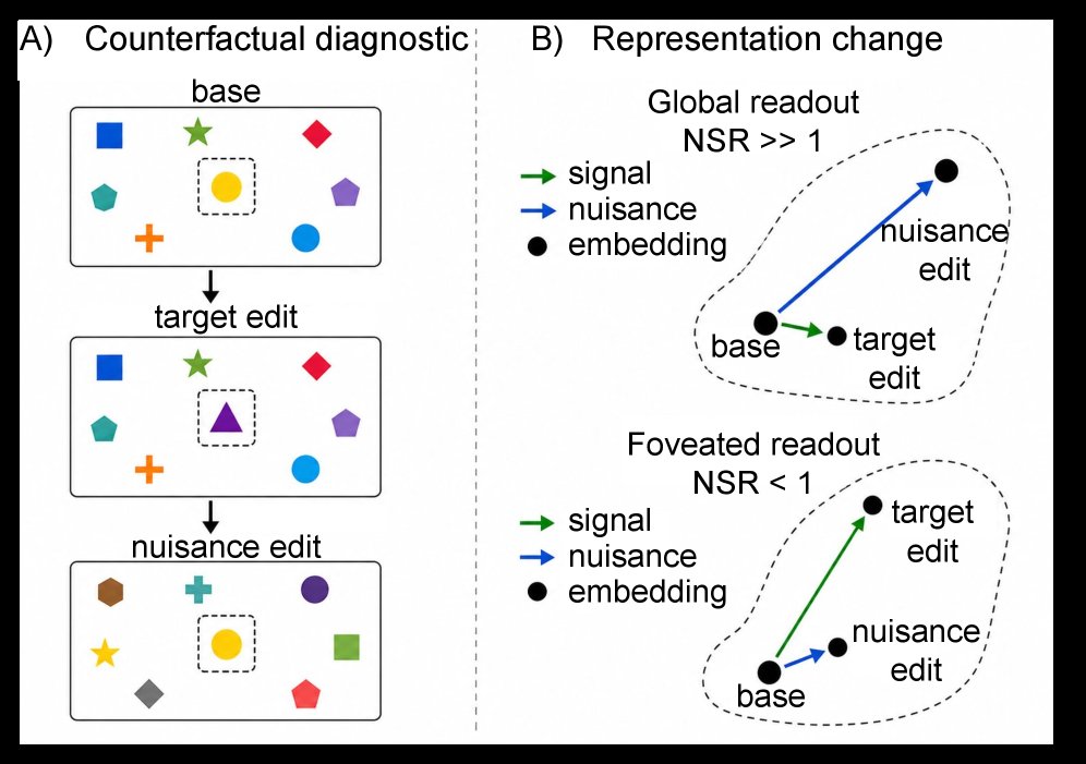 Foveated Probes Recover Localized Binding Information in Vision Foundation Models Figure 1