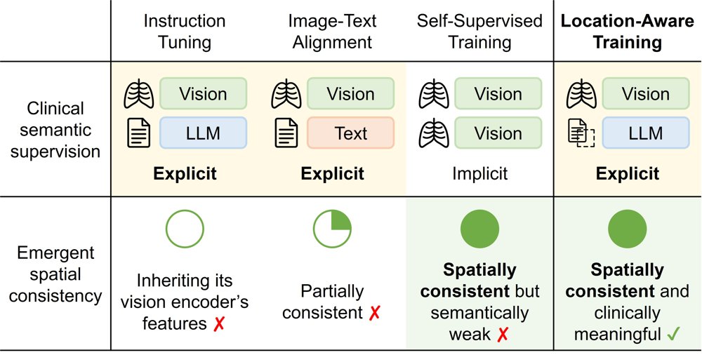 Location-Aware Fine-Grained Representation Learning for Medical Vision Foundation Models Figure 1