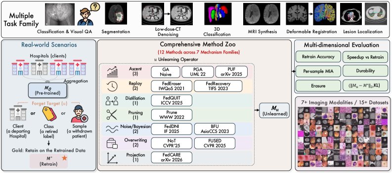 Lethe: How Hard Is It to Forget? A Benchmark for Federated Unlearning in Medical Imaging Figure 1