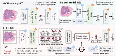 From Patches to Evidence Balls: Class-Conditioned Evidence Retrieval for Few-Shot Whole Slide Image Classification Figure 1