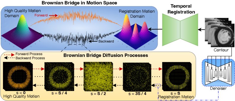 Generative Brownian Bridge Diffusion In Motion Space For Enhanced Myocardial Strain Analysis Figure 1