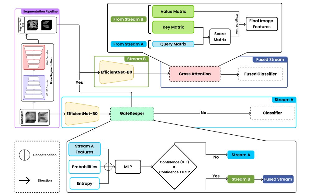 SecondOpinion: Anatomy-Aware Gated Reasoning for Efficient Medical Image Analysis Figure 1