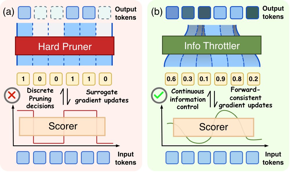 DiffPrune: differentiable information throttling for token pruning in vision-language models Figure 1