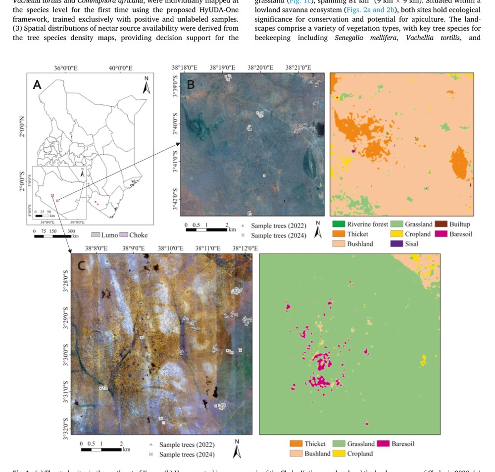 Mapping melliferous tree species in Kenya via one-class classification with hyperspectral unsupervised domain adaptation Figure 1