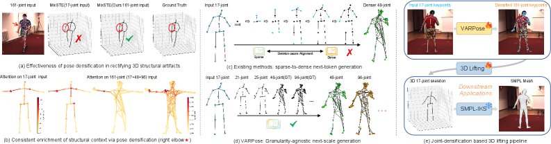 VARPose: Flexible 2D Pose Densification via Visual Autoregressive Modeling for Enhanced 3D Lifting Figure 1