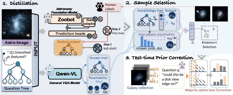A General-Purpose VLM Can Teach an Astronomy Foundation Model to Better Recognize Galaxy Morphology Figure 1