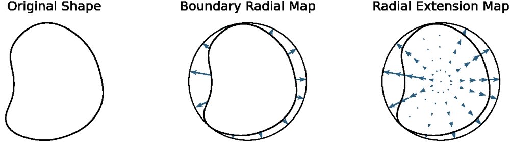 The Push-Forward Transform for Continuous and Robust Comparison of Dynamic Shapes Figure 1