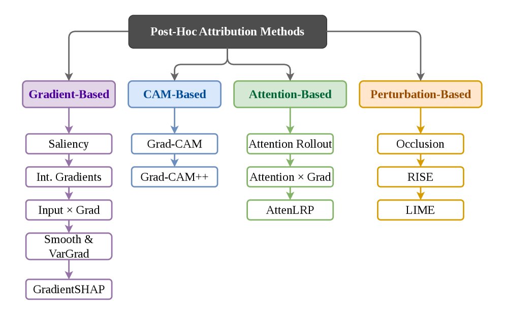 Does Explainability Transfer? A Controlled Benchmark of Attribution Methods on Vision Transformers and CNNs Figure 1