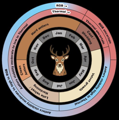 Oh Deer, How Should I Handle This? Seasonal Priors for Selective Wildlife Annotation and Classification Figure 1