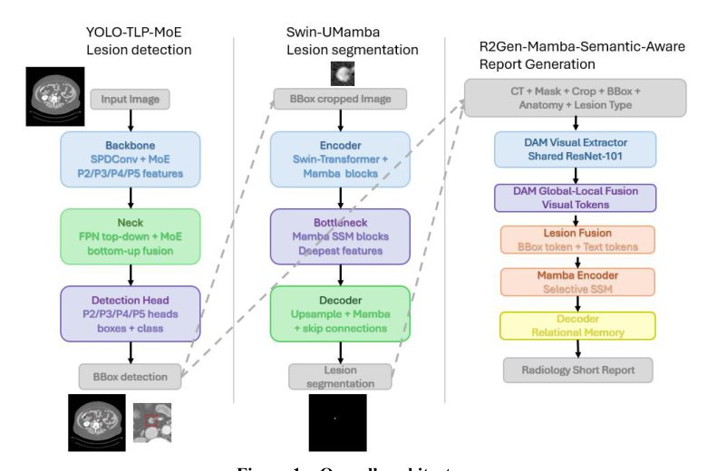 A Unified 2D Framework for DeepLesion Detection, Segmentation and Short Report Generation Figure 1