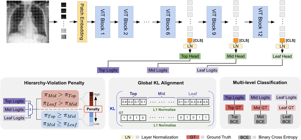 Clinically-Grounded Hierarchical Classification for Consistent Chest X-ray Interpretation Figure 1
