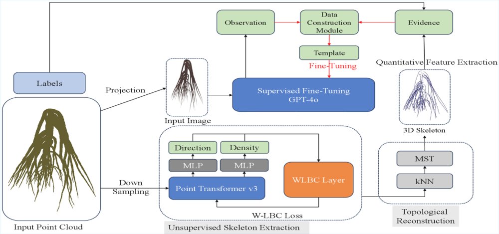 Multimodal Plant Root Phenotyping with Integration of 3D Skeleton Extraction and Language Analysis Figure 1