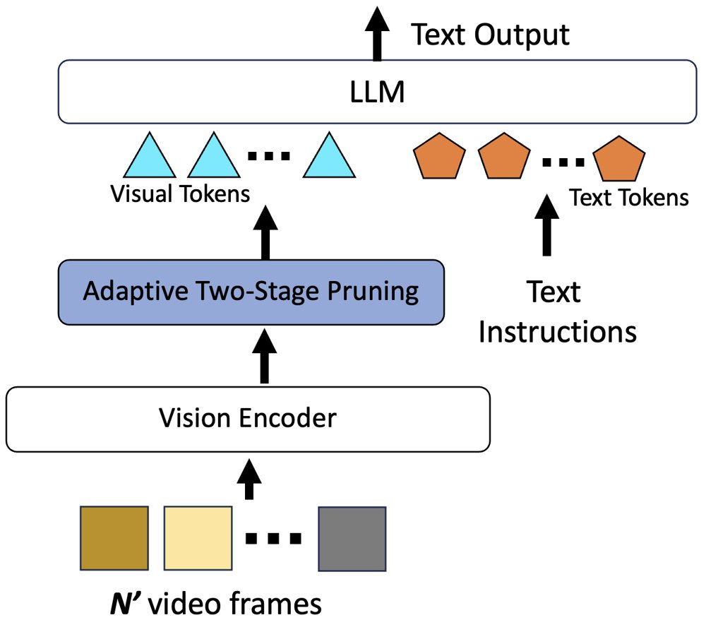 Adaptive Two-Stage Visual Token Pruning for Efficient Inference in Video-Language Models Figure 1