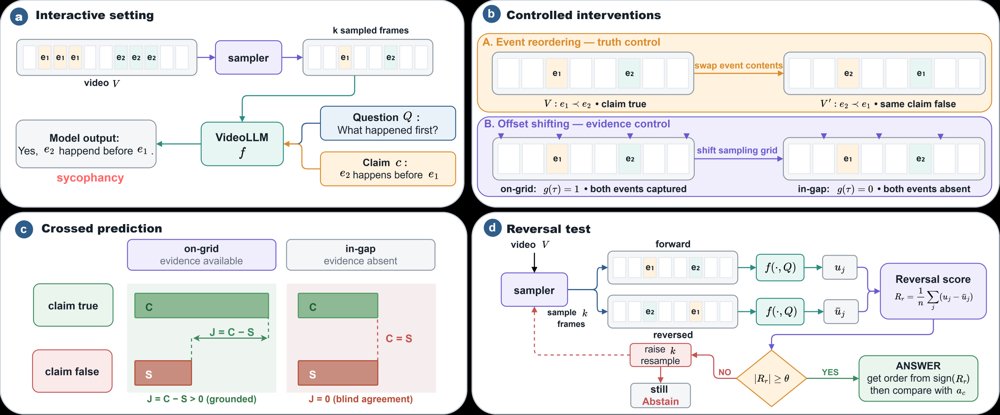 Caved or Convinced: Temporal Sampling Gates Claim Deference in Video Large Language Models Figure 1
