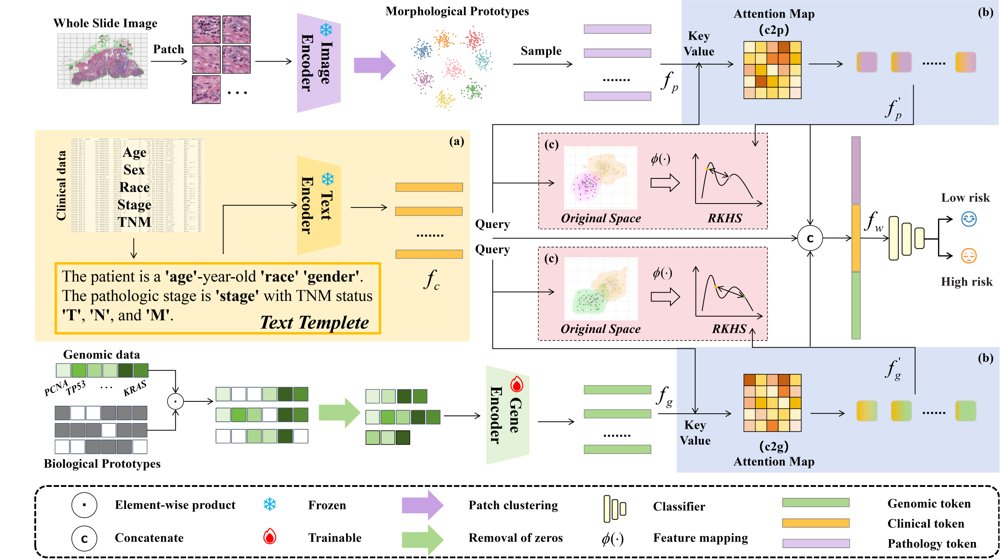 CIGTSurv: Clinical Information Guided Tri-modal Survival Prediction with Local Prototype Association and Global Feature Alignment Figure 1