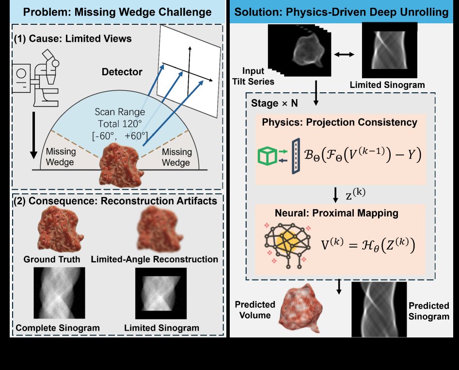 NanoMorph-3D: An End-to-End Physics-Driven Unrolling Framework for Nanomaterial Reconstruction Figure 1