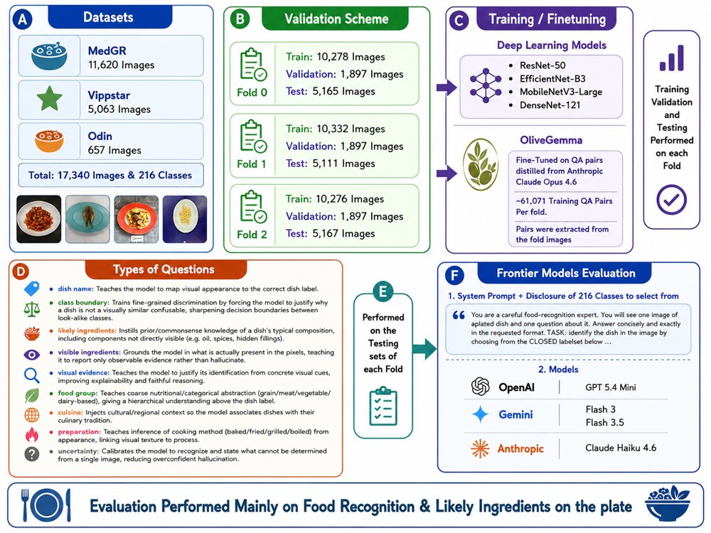 OliveGemma: A 3 Billion Visual Language Model for Recognising the Mediterranean & European Diet Figure 1