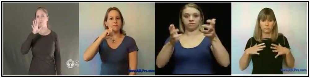 A Low-Cost Hybrid Reservoir Computing Model for Isolated Sign Language Video Recognition Figure 1