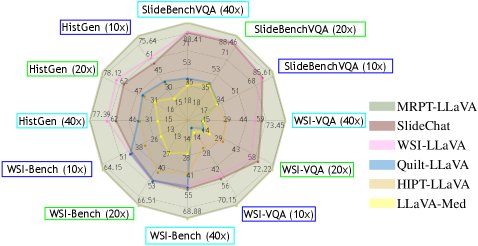 From Multi-Resolution Cells to Gigapixel Whole Slide Images Foundation Model for Computational Pathology Figure 1