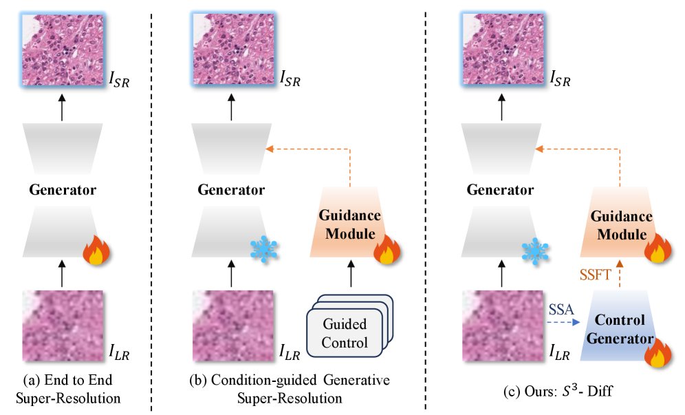 S$^3$-Diff: Structural Semantic Synergy Diffusion Model for High Fidelity Super Resolution of Pathological Images Figure 1