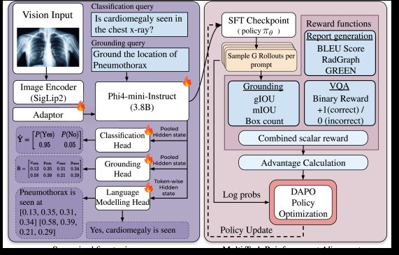 CARE-X: Towards Clinically Useful Radiology VLMs with Auxiliary Supervision, Reward-Aligned Learning, and Tool-Augmented Measurement Figure 1