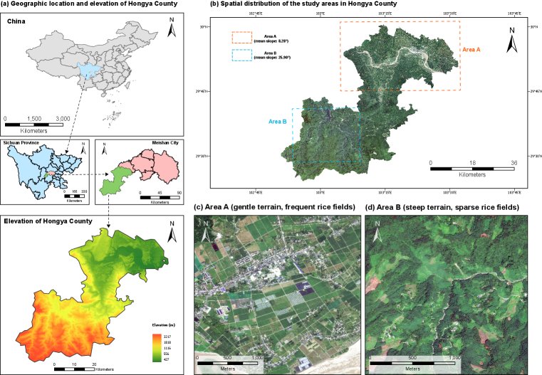 TRNet: Topography-Guided Frequency Rectification and Structure-Aware Decoding for Multimodal Paddy Rice Segmentation Figure 1