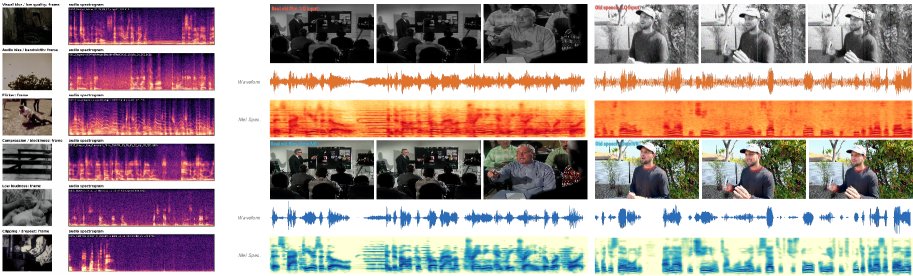 OmniVR: Joint Video-Audio Conditional Generation for Restoring Degraded Historical Films Figure 1