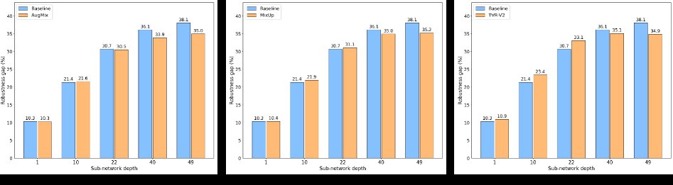 Robustness Emerges Early in Training Dynamics, but Is Not Preserved Figure 1