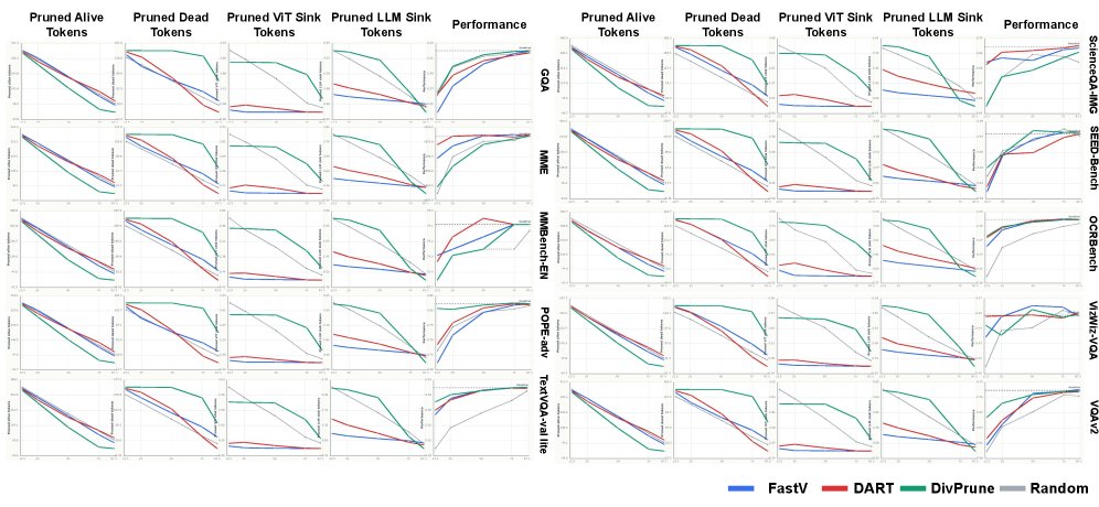 Not All Redundant Tokens Are Alike: Analyzing Visual Token Pruning through Token Roles Figure 1