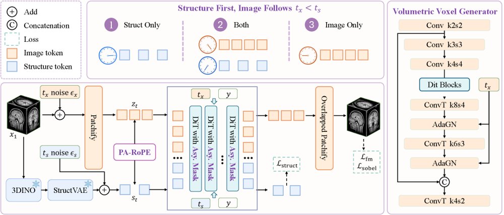 VoxStruct3D: Structure-Leading Flow Matching for Voxel-Space 3D MRI Synthesis Figure 1